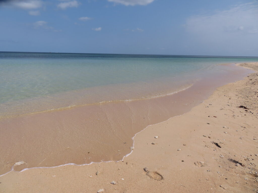 米原ビーチに移動してきました