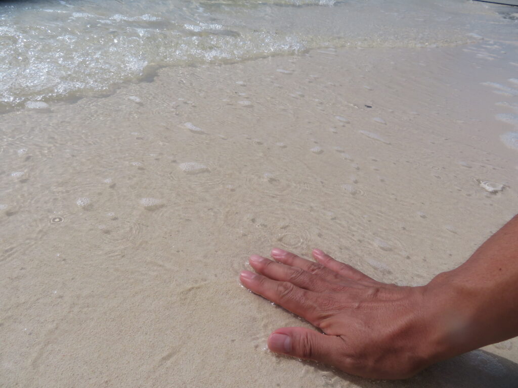 砂浜を触ってみました