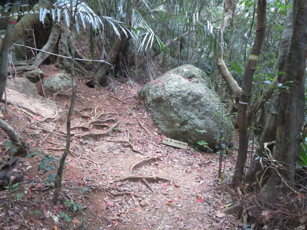 麓からの登山道と合流