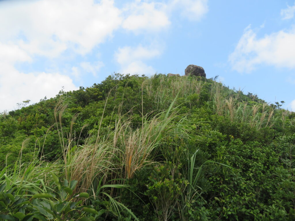 山頂はすぐそこです