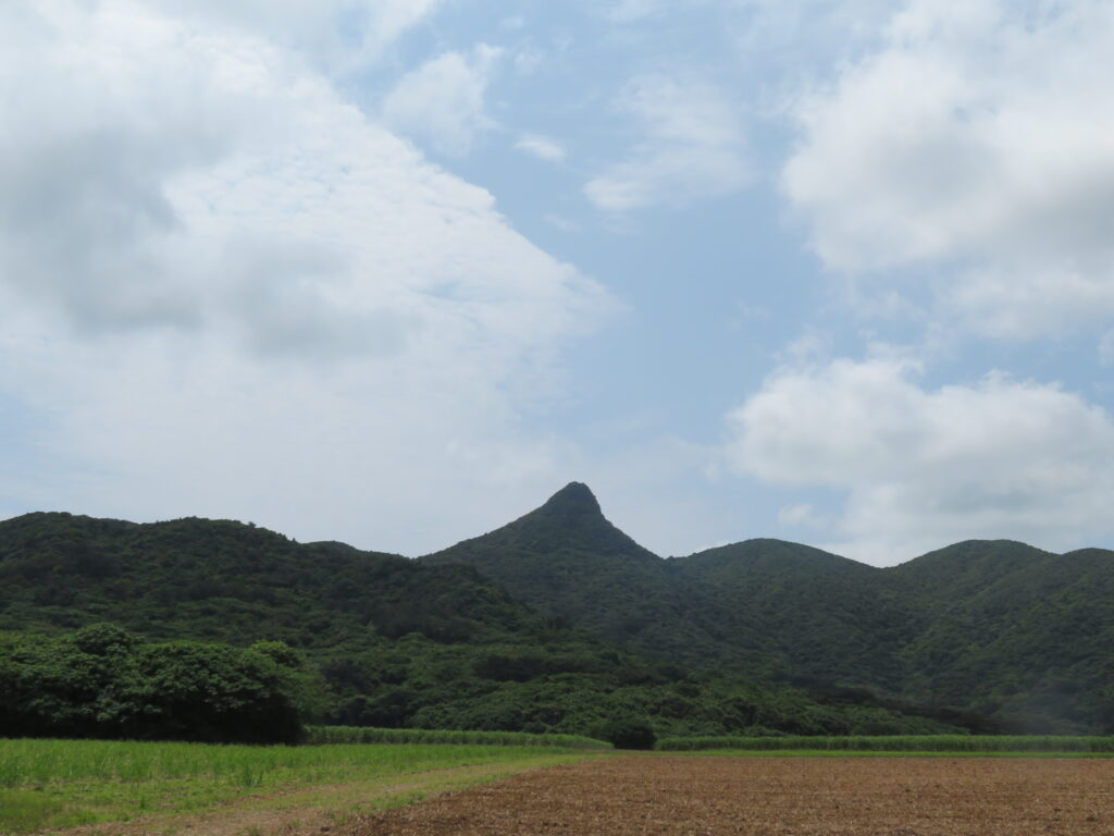麓から見える「野底岳」
すごく尖っていますね！