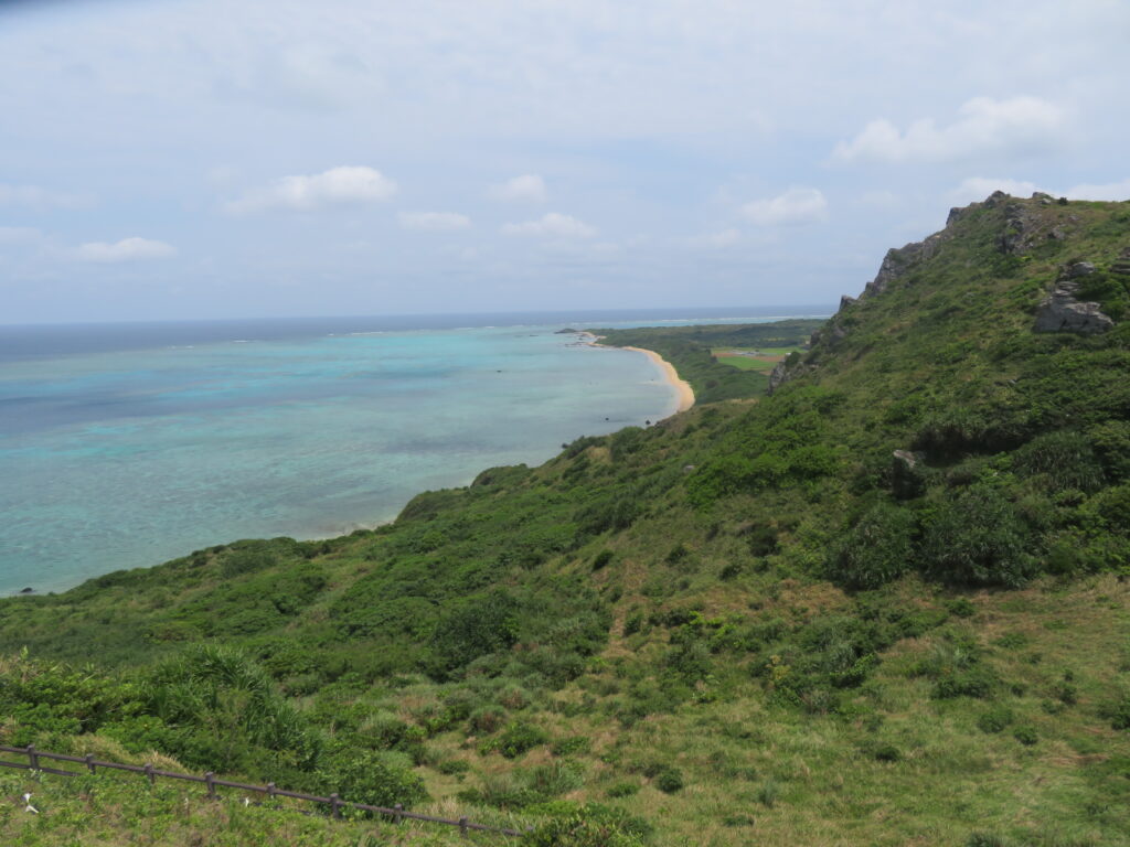 少し高いところまで登ることができます