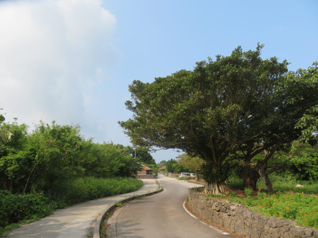 いよいよ集落が見えてきました！