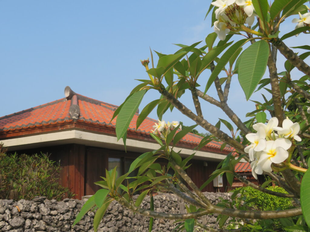 赤瓦屋根の家がいい感じ