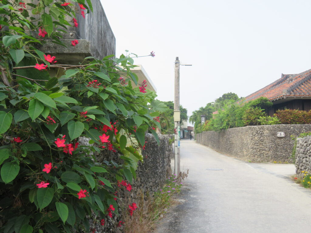 長い道をまっすぐ歩いていきます
ほんとに誰にもあいませんね