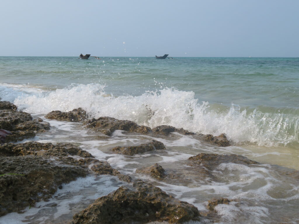 波が激しいです
この海岸は遊泳禁止です