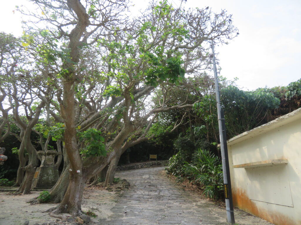 「ンブフル」という場所をまっすぐ進みます