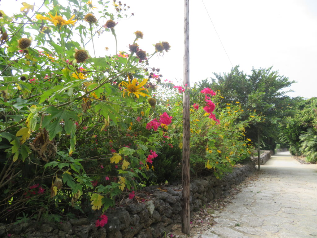 集落が終わり
続いてカイジ浜へ向かいます