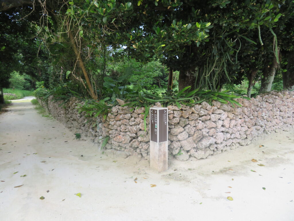 左はカイジ浜
右はコンドイ浜