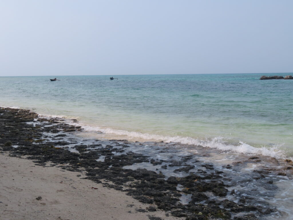 砂浜に星の形をした砂があるみたい