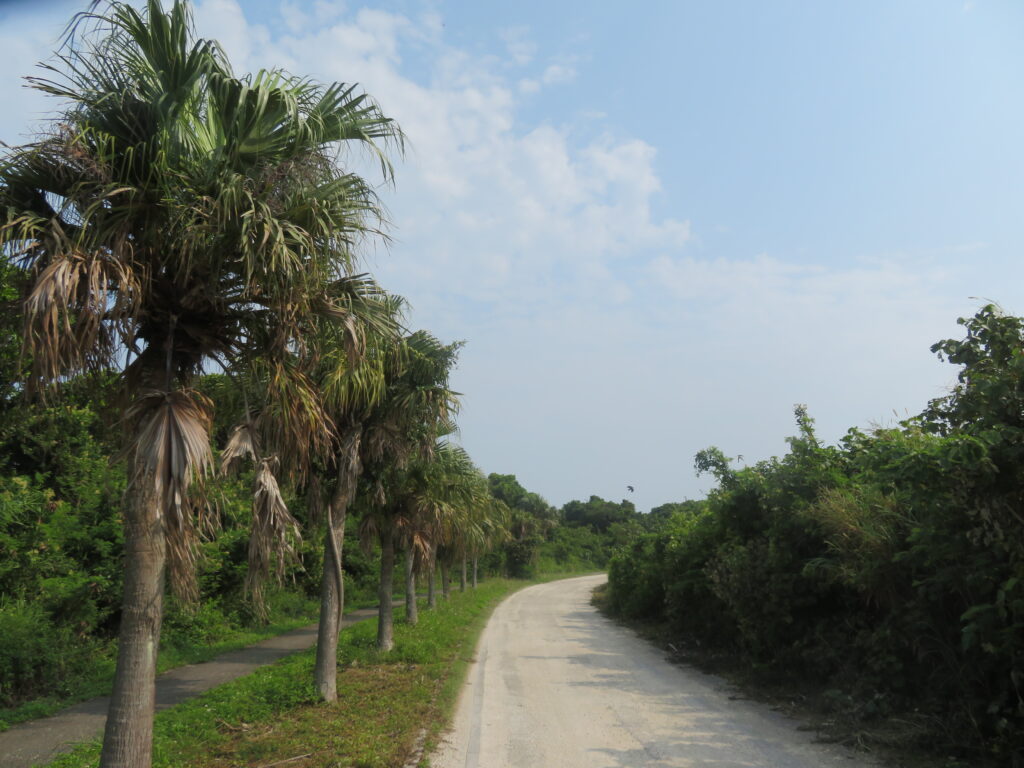 続いてコンドイ浜へ向かいます