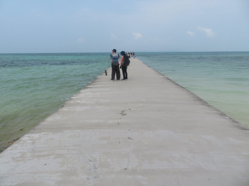 海に真っすぐ続く桟橋