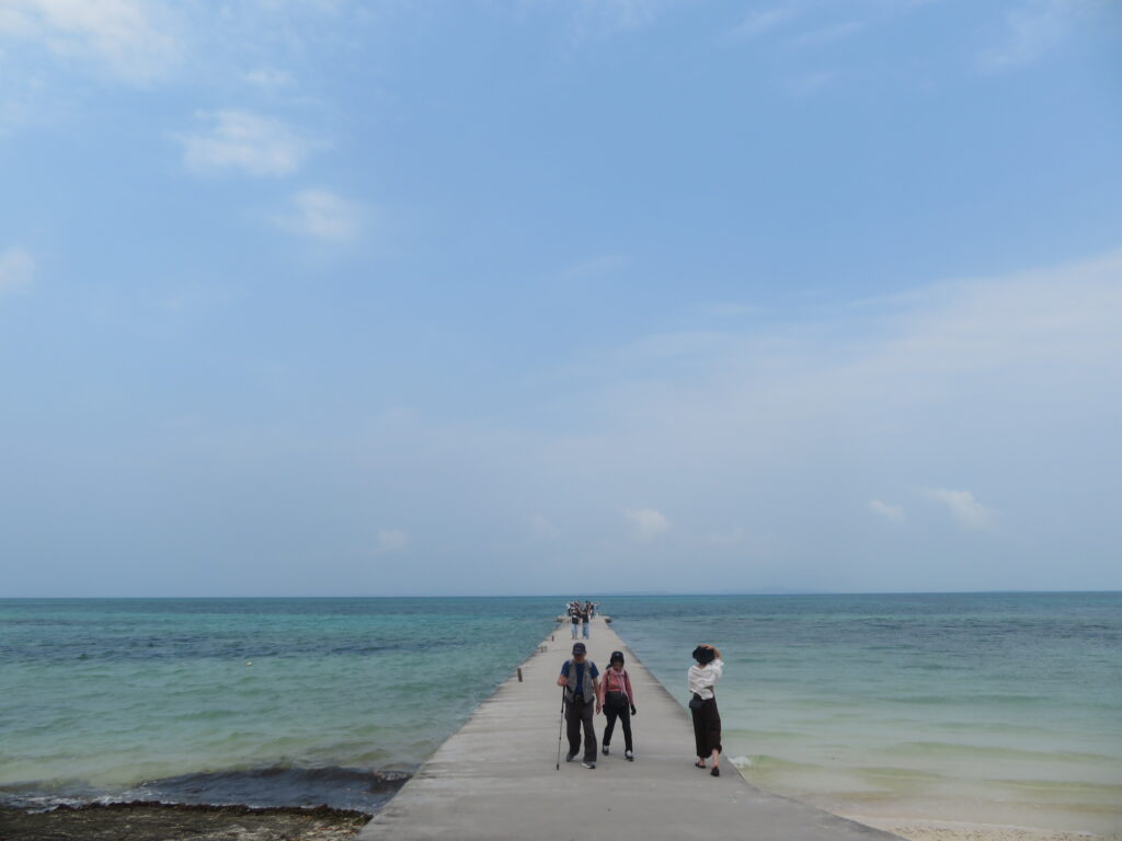 夕日を見てみたいですね