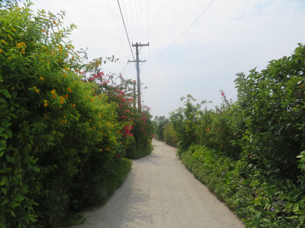 再び集落に向かいます