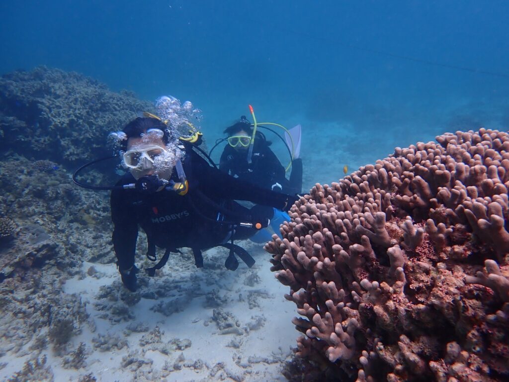 海底を進んでいきます