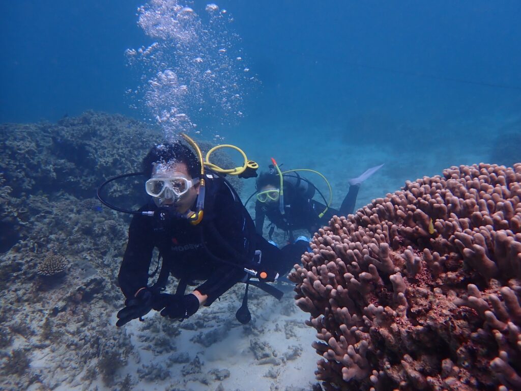 海底が澄みきっていてとても綺麗です