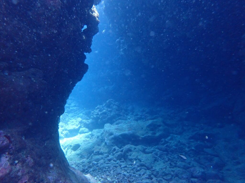 この空間が幻想的でした
青白い光が綺麗ですね！