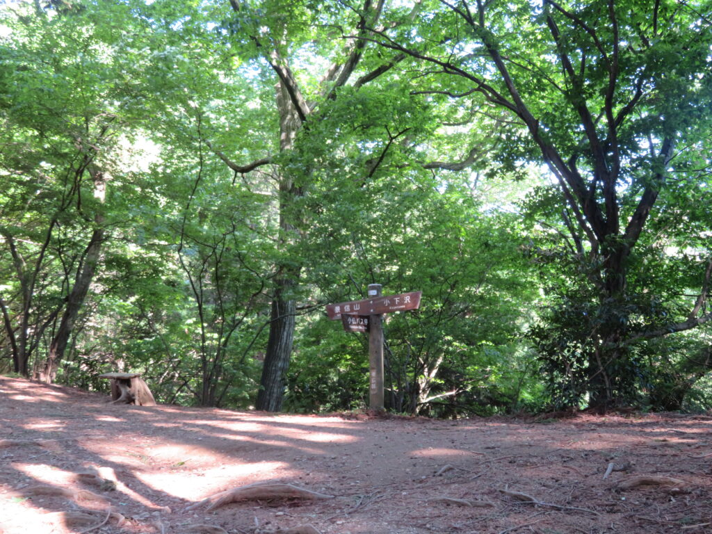 山頂手前の分岐
小下沢ってどこだろう？
まだまだ知らないルートがありますね
