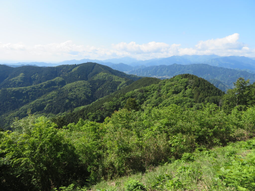 景信山から小仏城山への稜線
