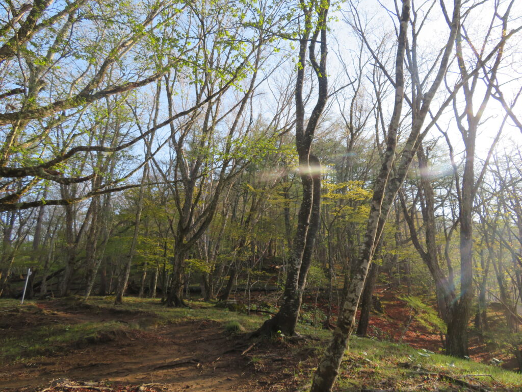 山頂まであと少し
