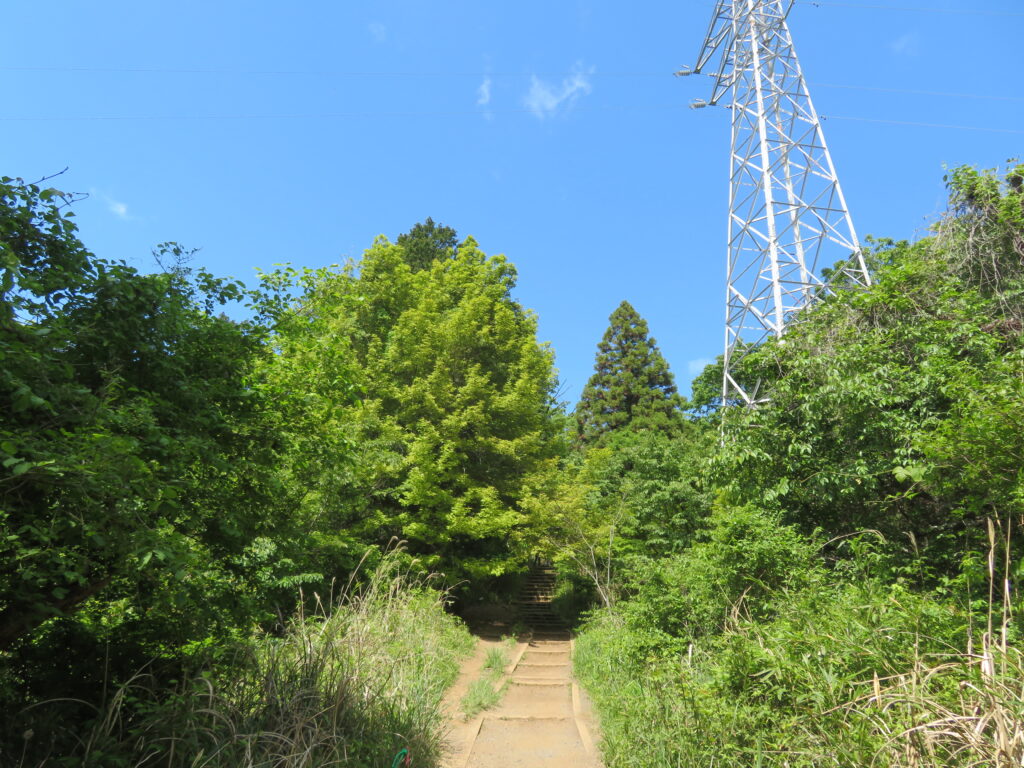 いつもの撮影場所