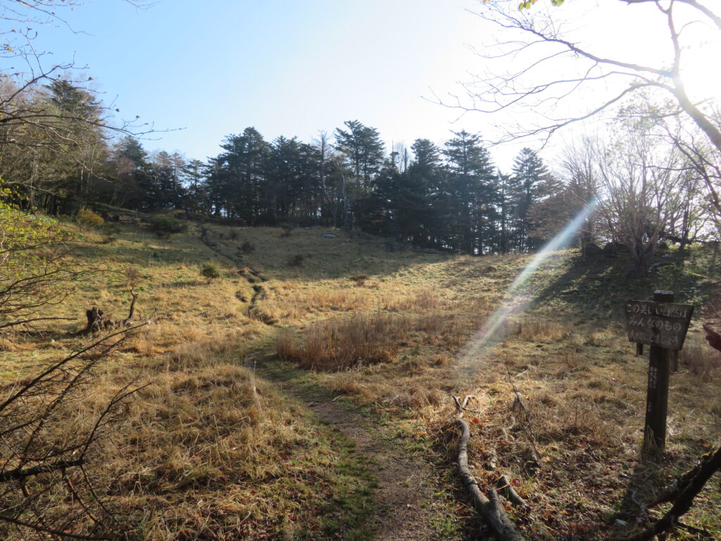 山頂手前は開けています