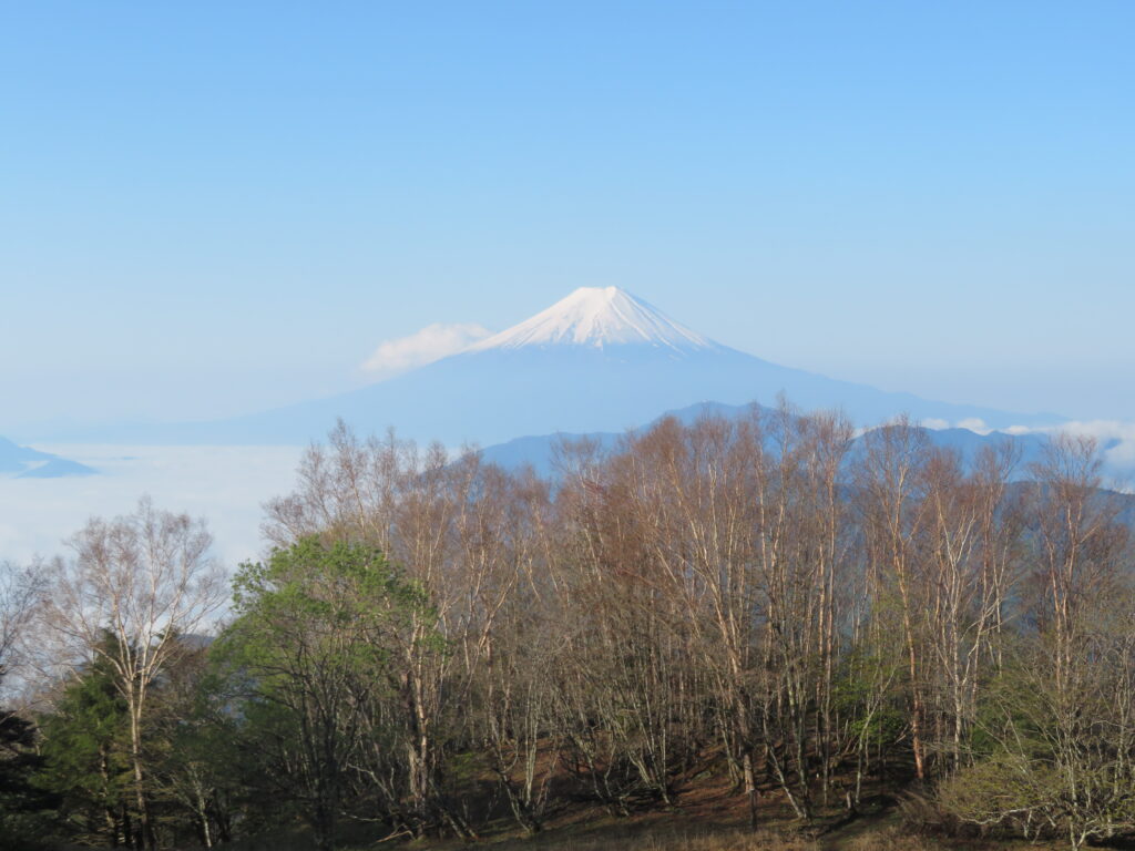 振り返ると富士山