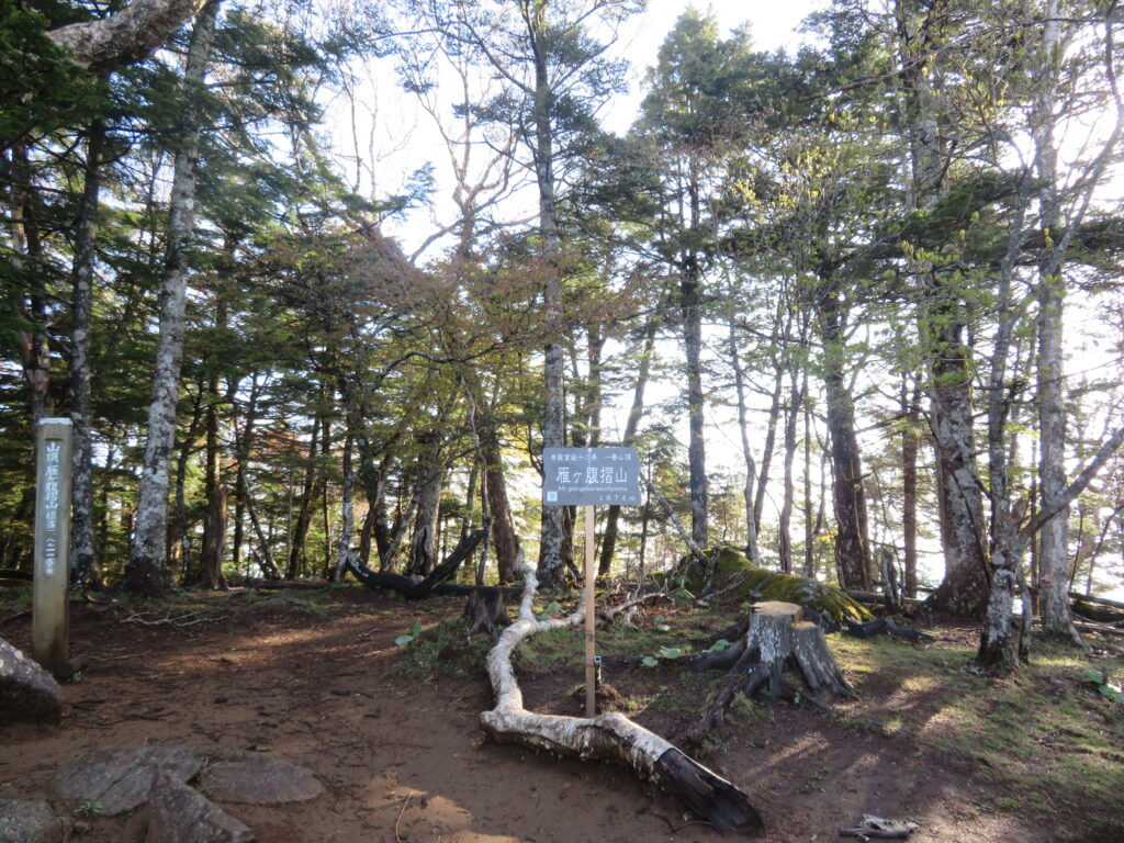 6時30分 雁ヶ腹摺山の山頂