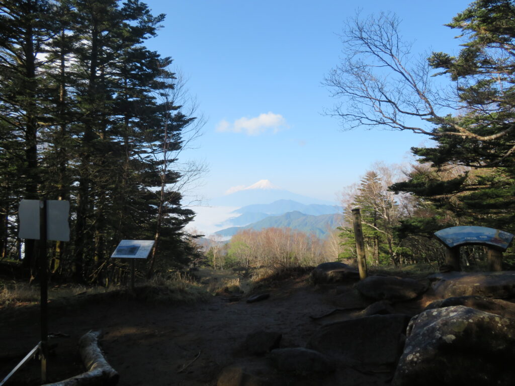 山頂は木に覆われていて少し狭いです
富士山が見えるこの角度だけ展望があります