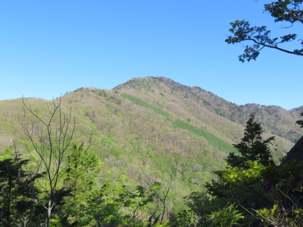 振り返ると雁ヶ腹摺山
戻るのが大変でした・・・