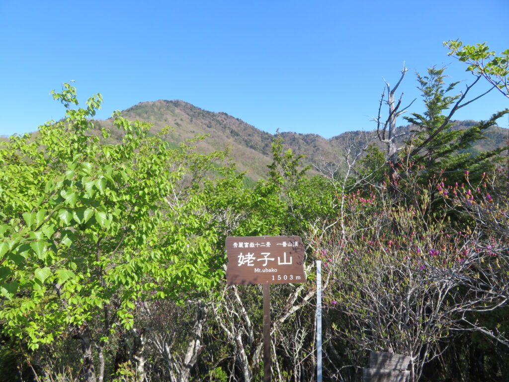 8時 姥子山の山頂