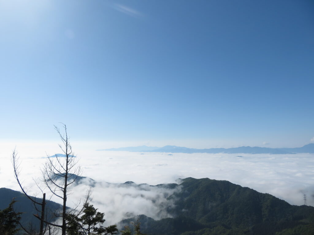 東側(神奈川方面)まで雲海が広がっています