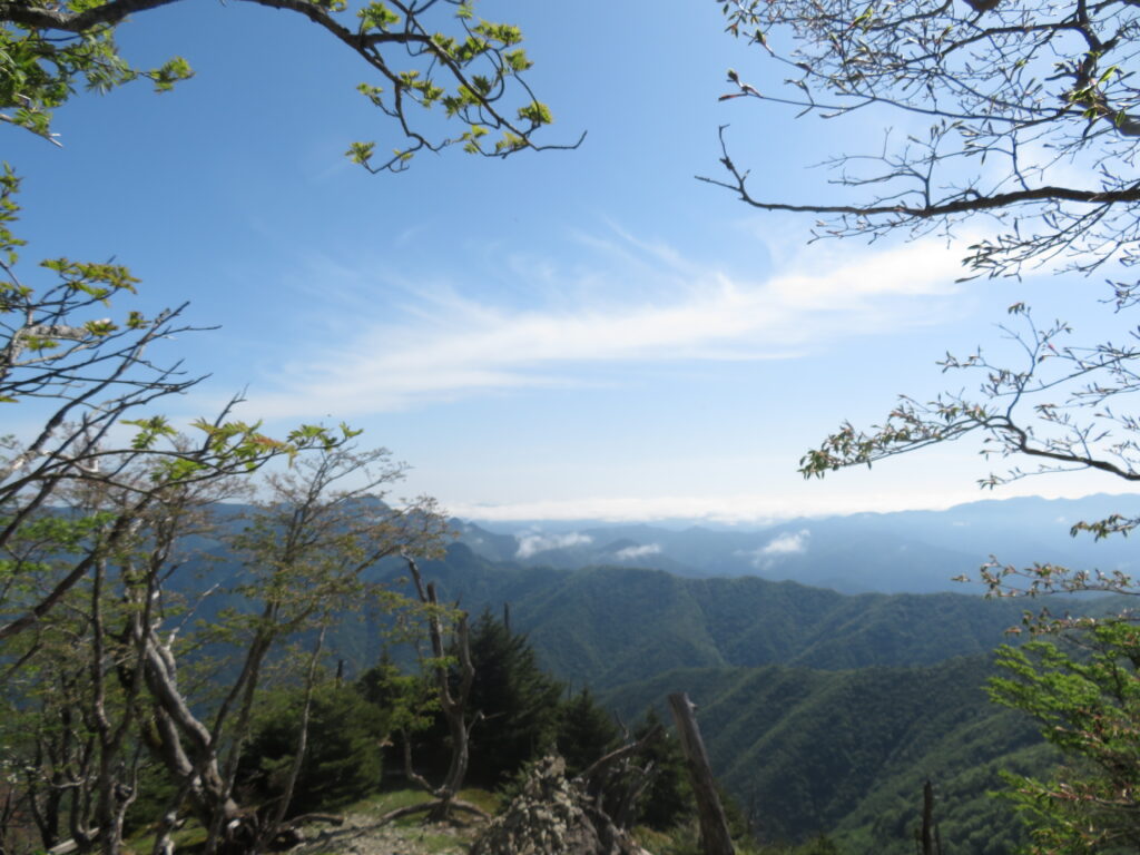 写真だとわかりづらいですが
奥のほうは雲海が広がっていて本当に綺麗でした！