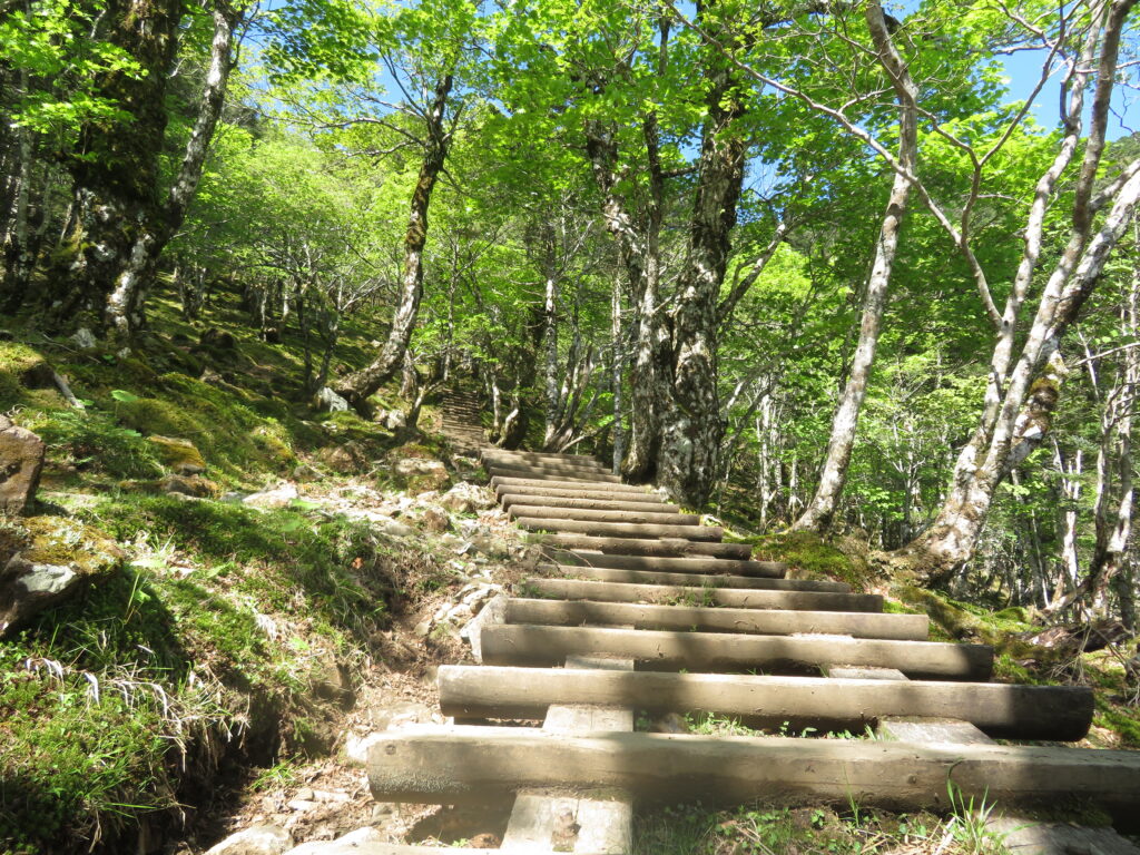 弥山の手前から長い階段が続きます・・・
