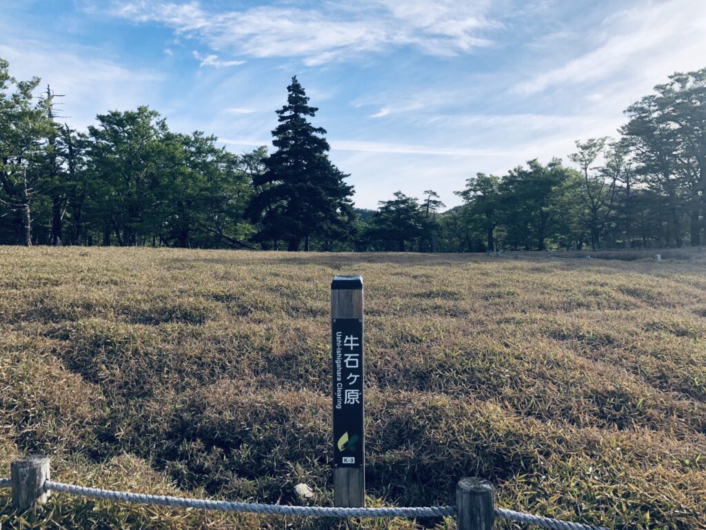 牛石ヶ原に到着