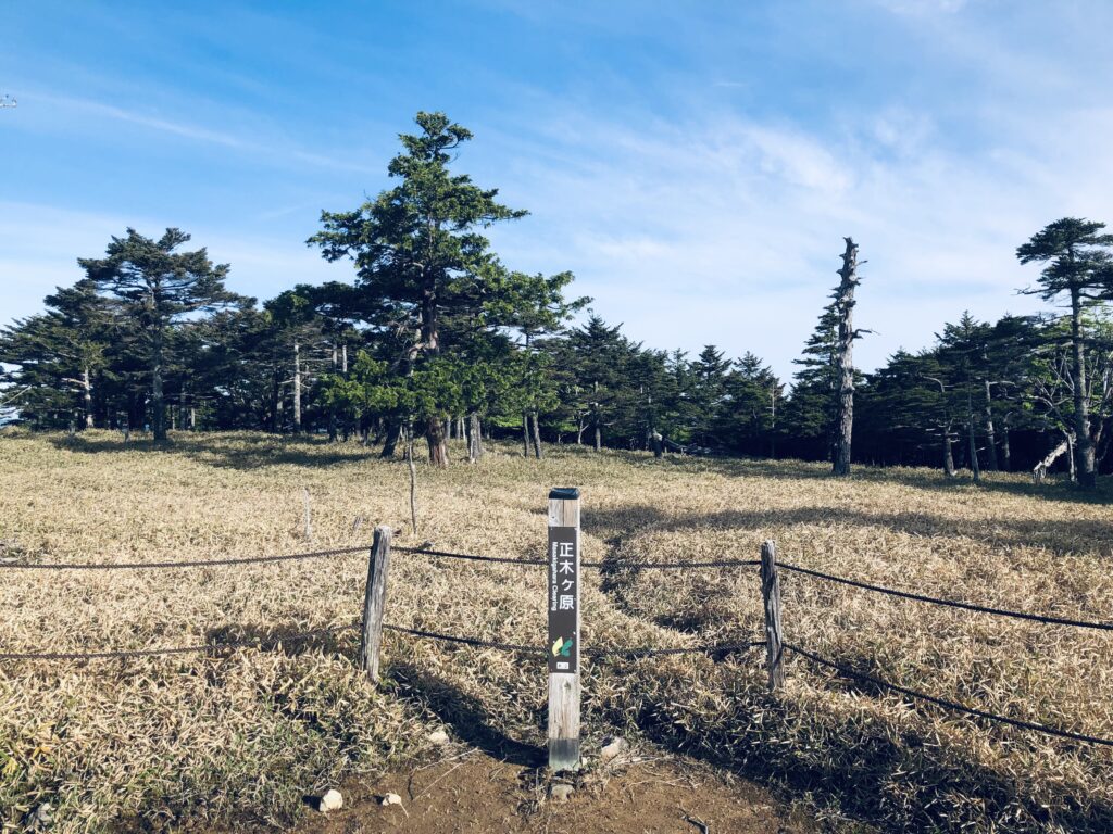 正木ヶ原に到着