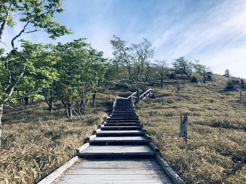 長い階段を登ります