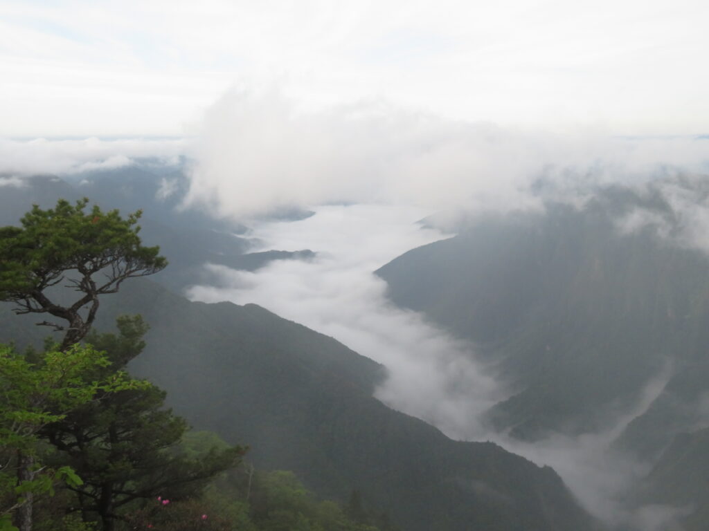 雲海が素晴らしい