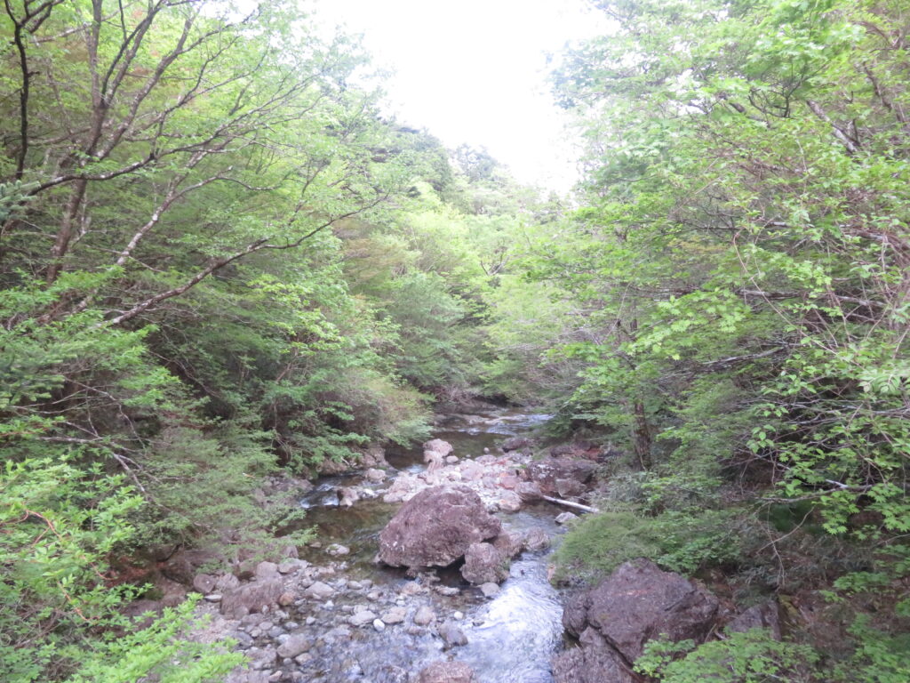 綺麗な川が流れています