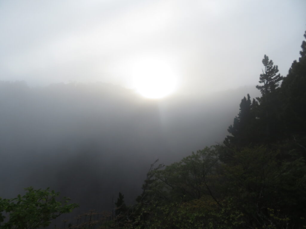 しばらく待っていると、太陽がでてきました
