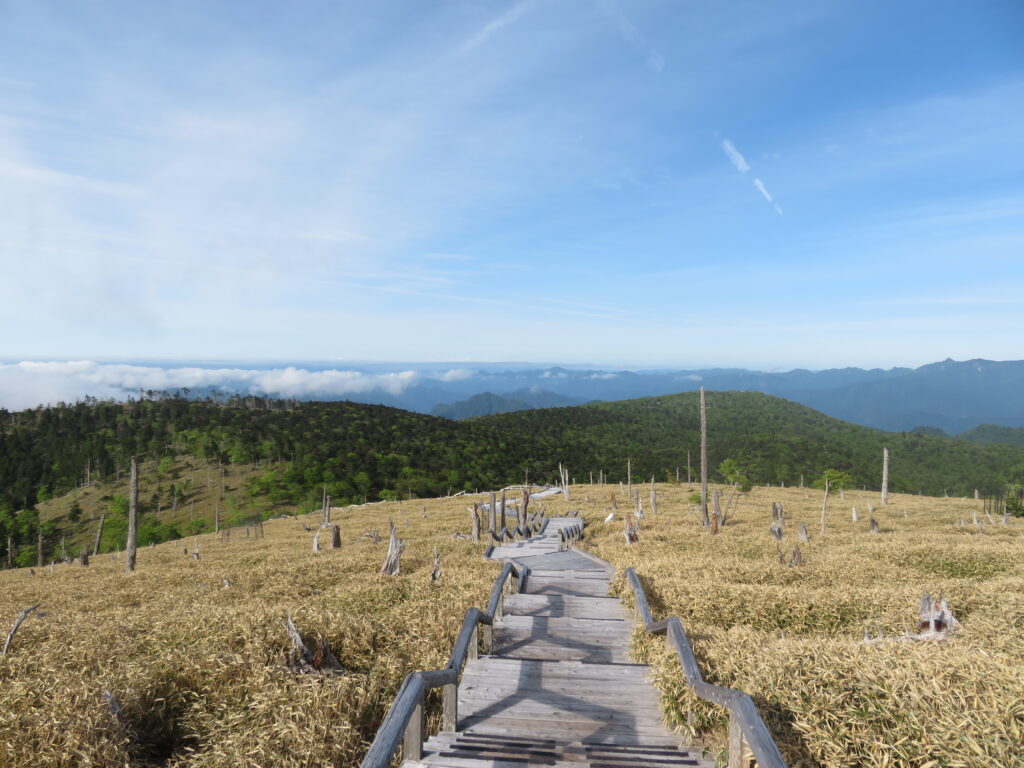 振り返ると素晴らしい景色