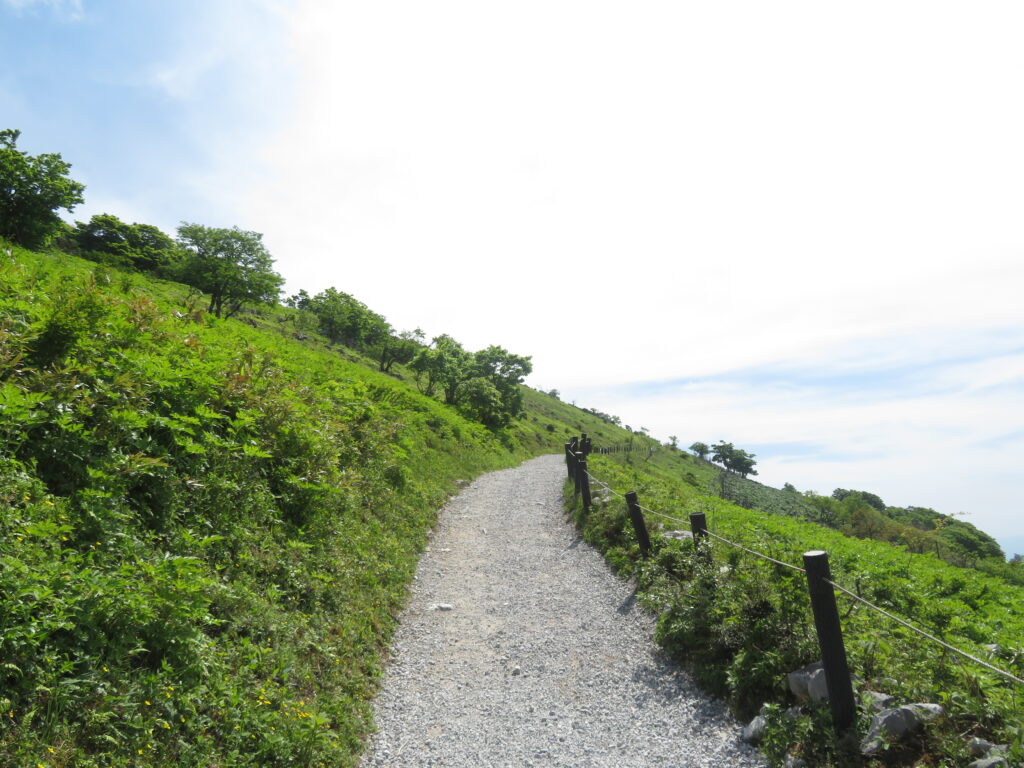 西登山道コース
整備されていてとても歩きやすい