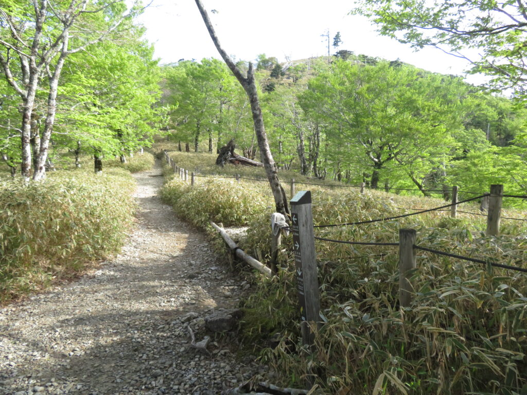 最後の分岐があります
左:駐車場
前:日出ヶ岳