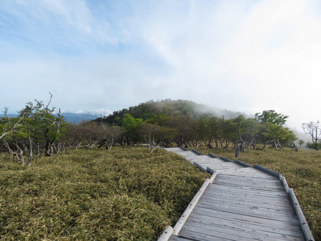 前方に見えるのが最高峰の日出ヶ岳
