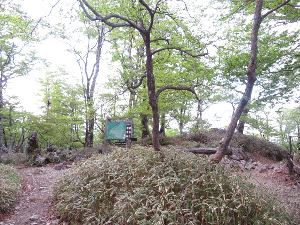 急登を登りきると分岐があります
左:尾鷲辻
右:大蛇嵓
