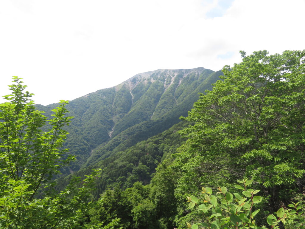 伊吹山ドライブウェイ
途中の駐車スペースで休憩
伊吹山カッコいい！