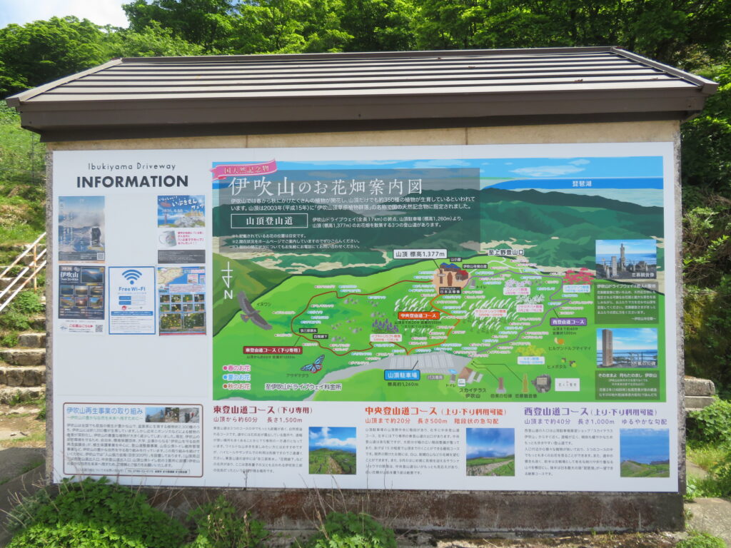 コース案内図