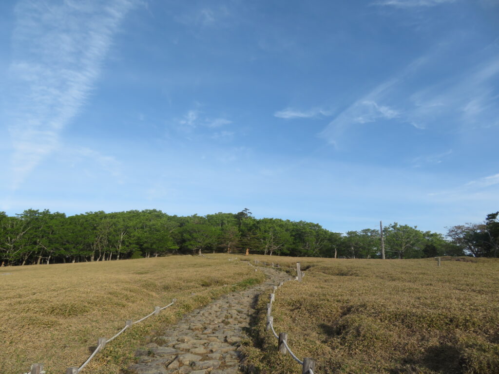 開放的な自然の中に続く登山道が本当に美しい!