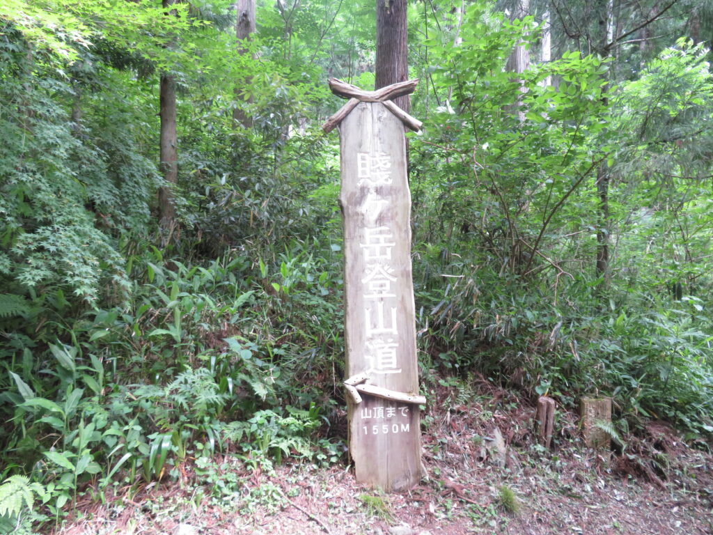 賤ケ岳登山道を進みます