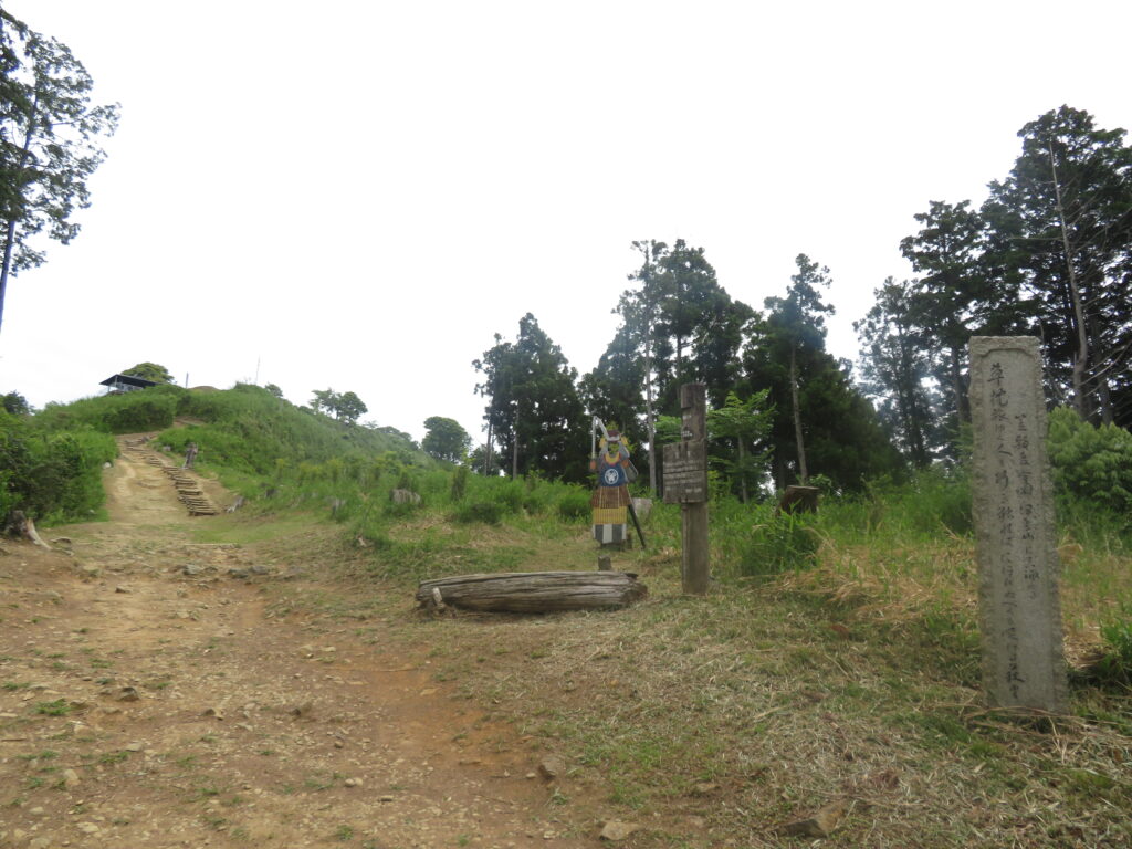 山頂が見えました！